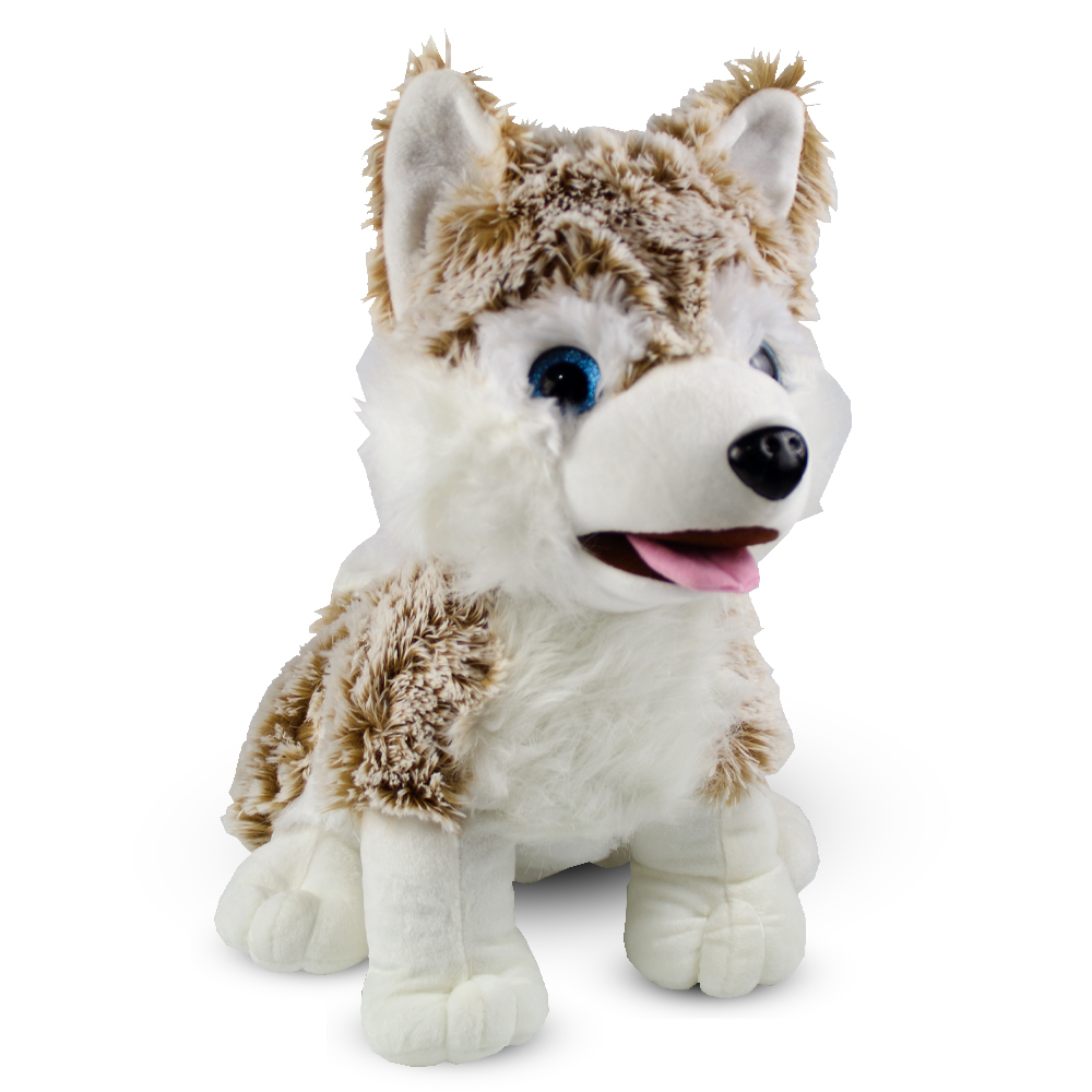 Perrito Siberiano